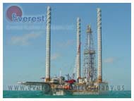 CHEMICAL AND PETROCHEMICAL INDUSTRY EVEREST RUBBER COMPANY